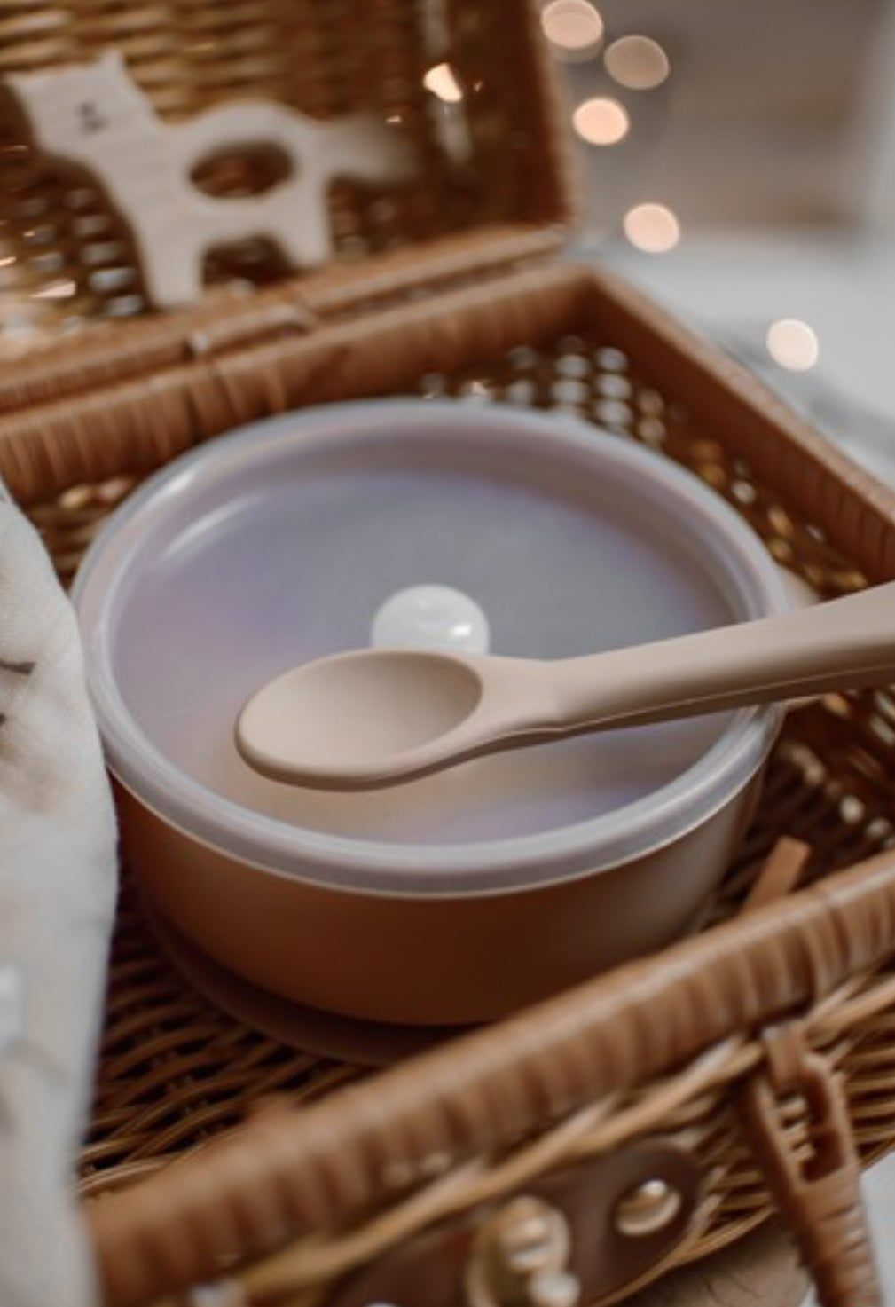 Silikonschüssel mit Deckel